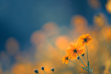 乌克兰、冠状病毒肺炎和ATT战争：市场低迷分析