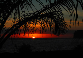 乌克兰、冠状病毒肺炎和ATT战争：市场低迷分析