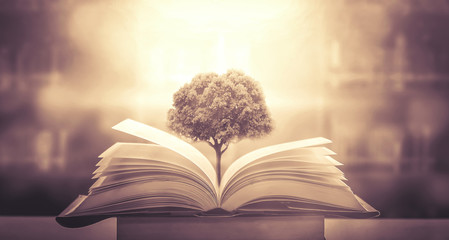 谁说宁次小时候喜欢雏田的-