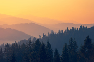 哈尔滨新增1例确诊曾乘火车到黑河，哈尔滨火车疫情车次