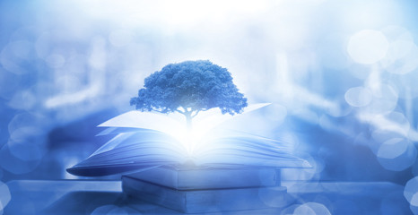 Whiteout生存在11个月内超过4亿美元