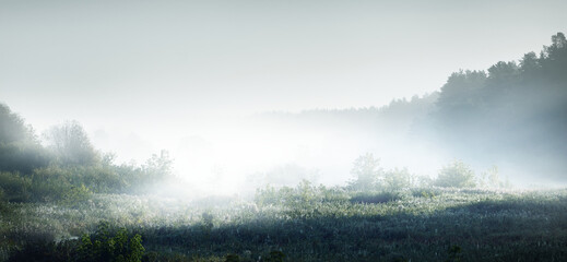 乌克兰、冠状病毒肺炎和ATT战争：市场低迷分析