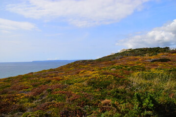 呼和浩特疫情最新情况（呼和浩特疫情最新情况）