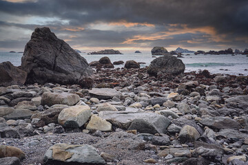狐狸与孩子的幕后制作