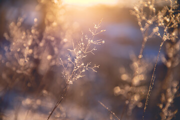 谁说宁次小时候喜欢雏田的-