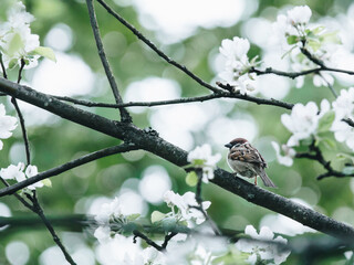 求一小品的一段台词。。