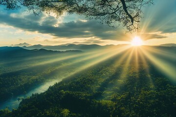 狐狸与孩子的幕后制作