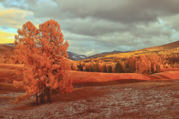 呼和浩特疫情最新情况（呼和浩特疫情最新情况）