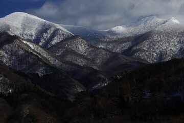 如何解锁自由拥抱队车手堡垒之夜皮肤