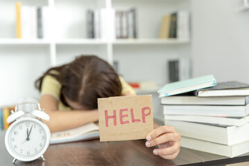 狐狸与孩子的幕后制作