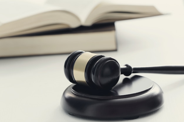 狐狸与孩子的幕后制作