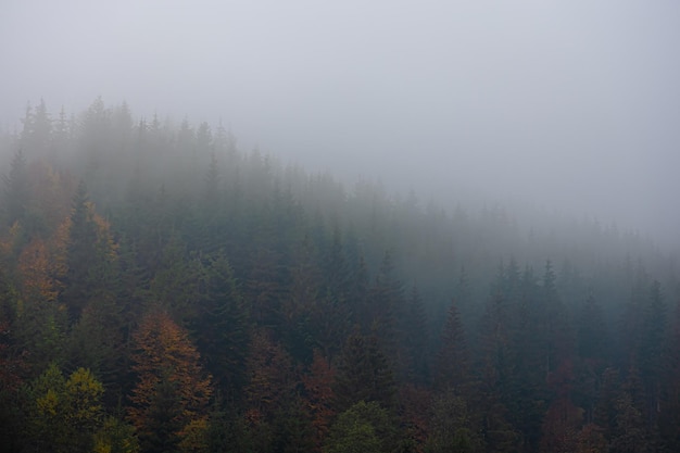 如何解锁自由拥抱队车手堡垒之夜皮肤