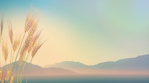 如何解锁自由拥抱队车手堡垒之夜皮肤