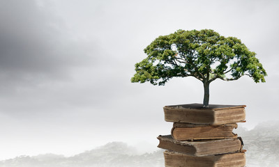 狐狸与孩子的幕后制作